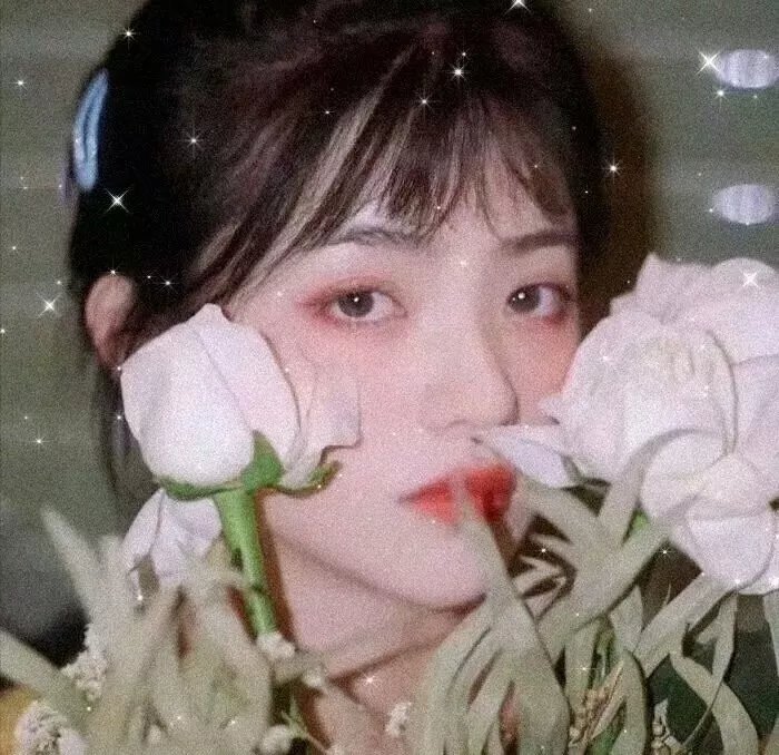 那年那兔那些事第一季