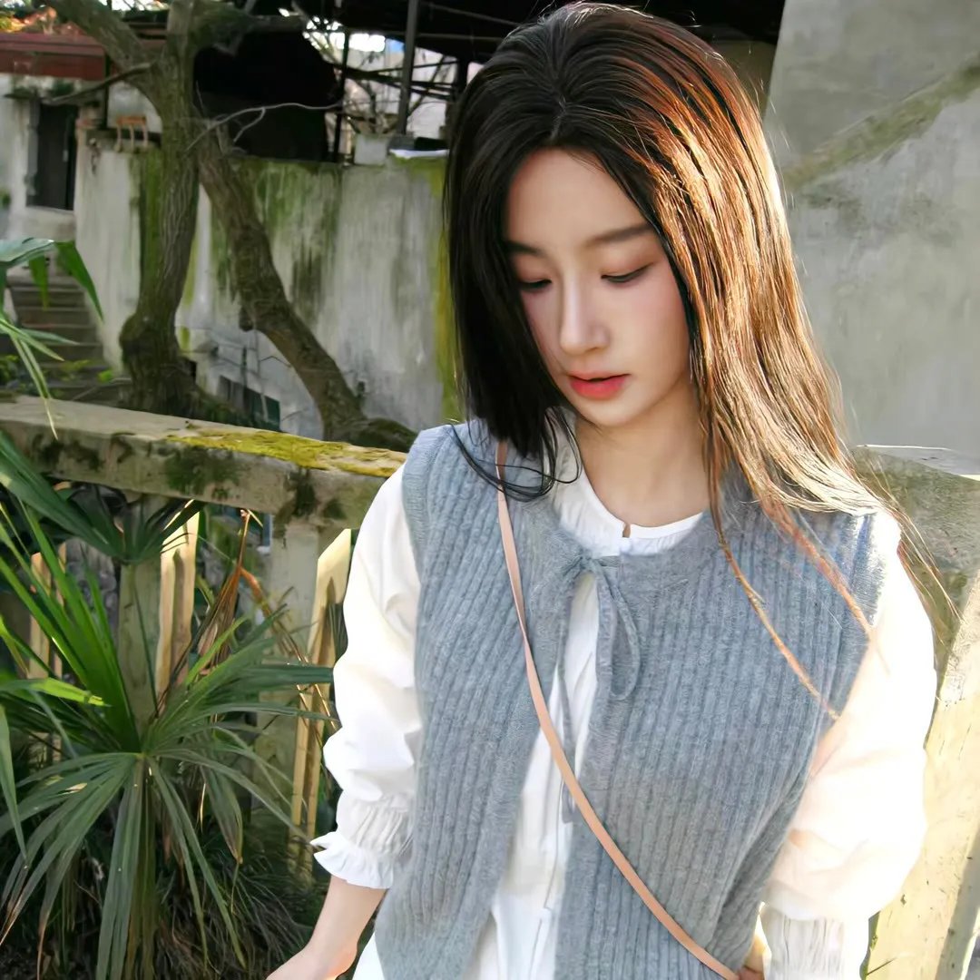 与鲨共游